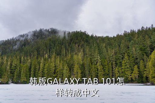 韩版GALAXY TAB 101怎样转成中文