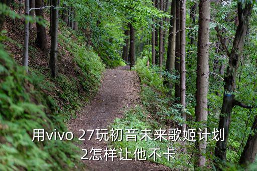 用vivo 27玩初音未来歌姬计划2怎样让他不卡