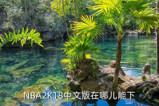 NBA2K18中文版在哪儿能下