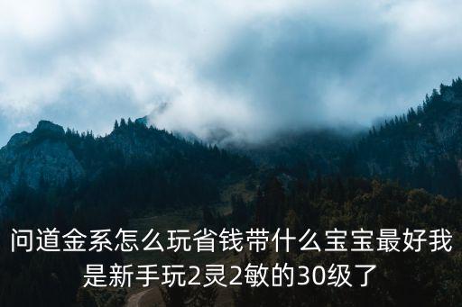 问道手游敏娃娃行程怎么安排，问道金系怎么玩省钱带什么宝宝最好我是新手玩2灵2敏的30级了