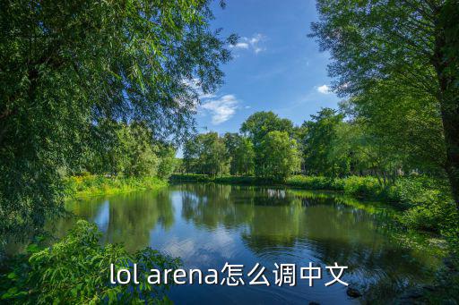 lol英雄联盟手游怎么调语言，lol arena怎么调中文