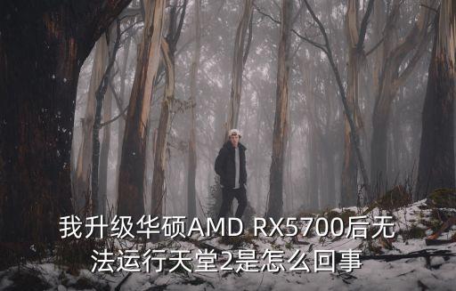 我升级华硕AMD RX5700后无法运行天堂2是怎么回事