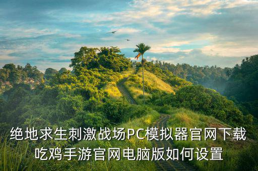 绝地求生刺激战场PC模拟器官网下载吃鸡手游官网电脑版如何设置