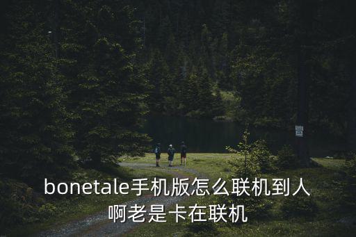 bonetale手机版怎么联机到人啊老是卡在联机