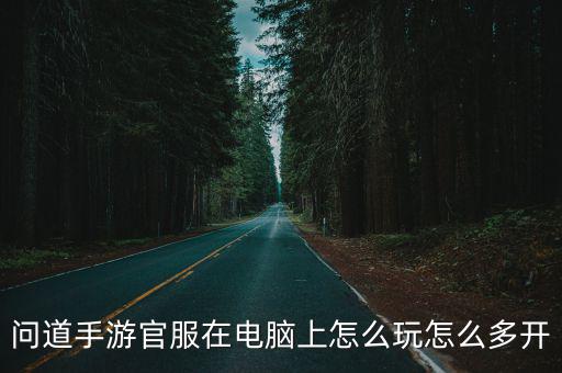 问道手游官服在电脑上怎么玩怎么多开