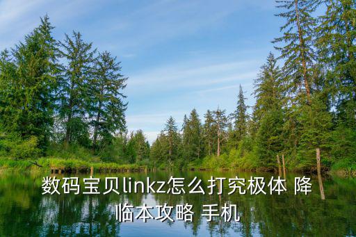 数码宝贝linkz怎么打究极体 降临本攻略 手机