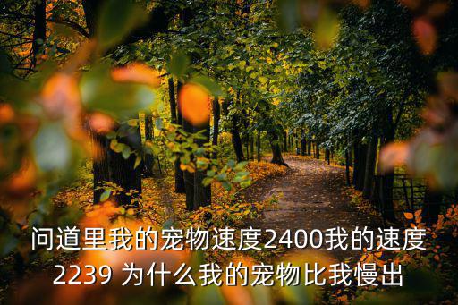 问道里我的宠物速度2400我的速度2239 为什么我的宠物比我慢出