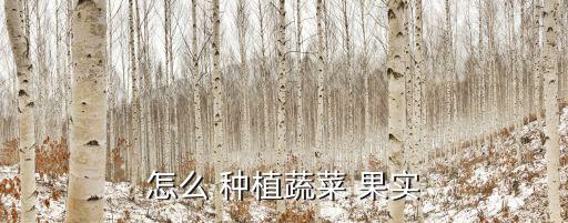 怎么 种植蔬菜 果实