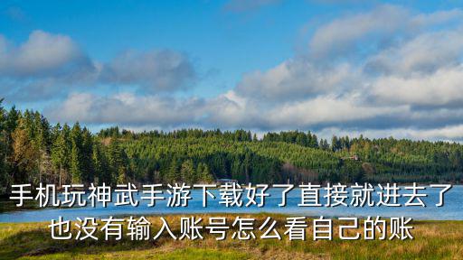 手机玩神武手游下载好了直接就进去了也没有输入账号怎么看自己的账