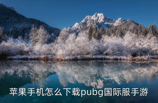 苹果手机怎么下载pubg国际服手游