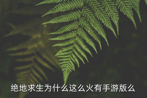 绝地求生为什么这么火有手游版么