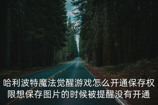 哈利波特魔法觉醒游戏怎么开通保存权限想保存图片的时候被提醒没有开通