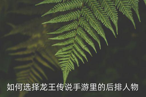 如何选择龙王传说手游里的后排人物