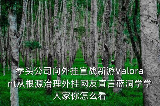 拳头公司向外挂宣战新游Valorant从根源治理外挂网友直言蓝洞学学人家你怎么看