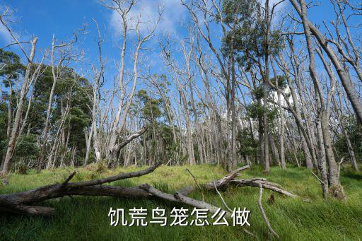 饥荒手游版怎么把鸟关在鸟笼里，饥荒鸟要怎么养饥荒鸟要怎么玩