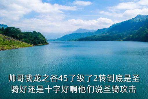 帅哥我龙之谷45了级了2转到底是圣骑好还是十字好啊他们说圣骑攻击