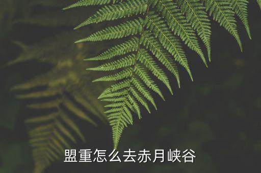 盟重怎么去赤月峡谷