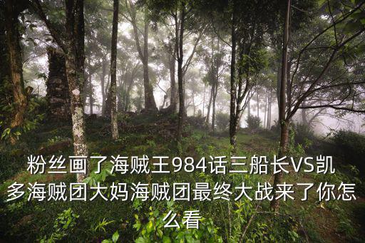 粉丝画了海贼王984话三船长VS凯多海贼团大妈海贼团最终大战来了你怎么看