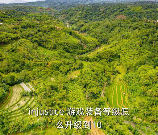 injustice 游戏装备等级怎么升级到10