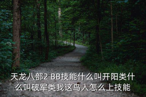 天龙八部2 BB技能什么叫开阳类什么叫破军类我这鸟人怎么上技能