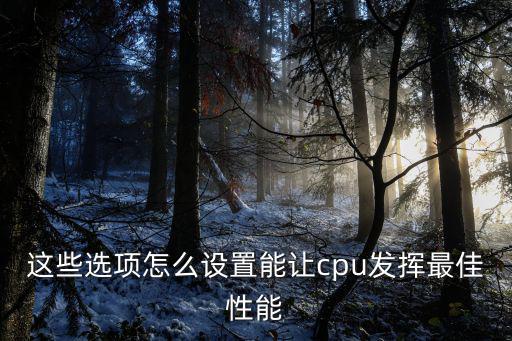 这些选项怎么设置能让cpu发挥最佳性能