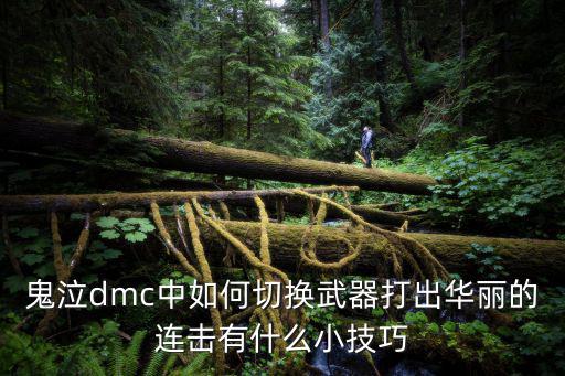 鬼泣dmc中如何切换武器打出华丽的连击有什么小技巧