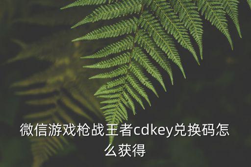 微信游戏枪战王者cdkey兑换码怎么获得