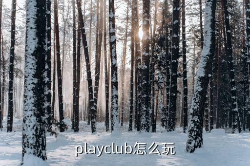 playclub怎么玩