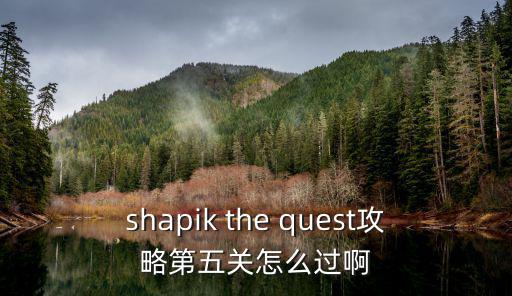 躲猫猫手游第五关怎么过，shapik the quest攻略第五关怎么过啊