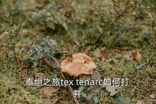 泰坦之旅tex tenarc如何打开