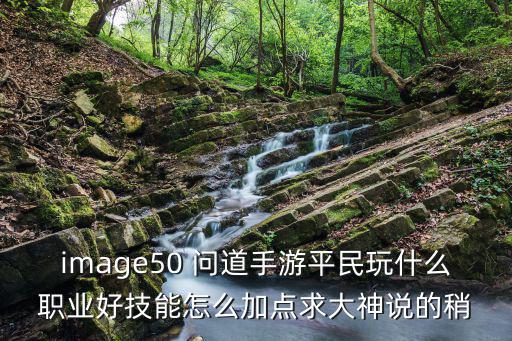 问道手游六开平民怎么玩，image50 问道手游平民玩什么职业好技能怎么加点求大神说的稍