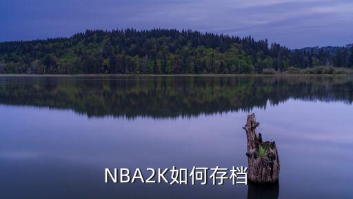 NBA2K如何存档