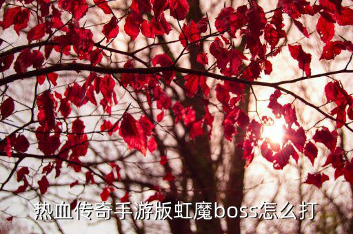 热血传奇手游版虹魔boss怎么打