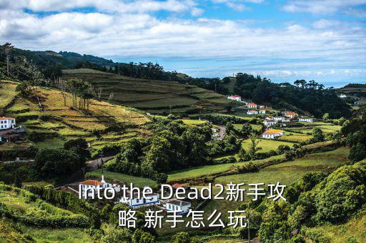 Into the Dead2新手攻略 新手怎么玩