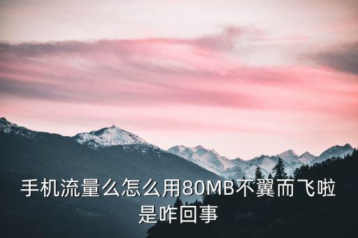 手机流量么怎么用80MB不翼而飞啦是咋回事