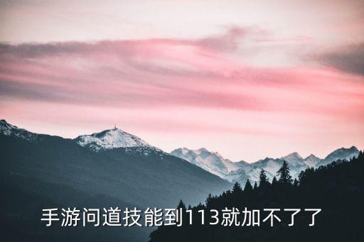 手游问道技能到113就加不了了