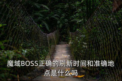 魔域BOSS正确的刷新时间和准确地点是什么吗