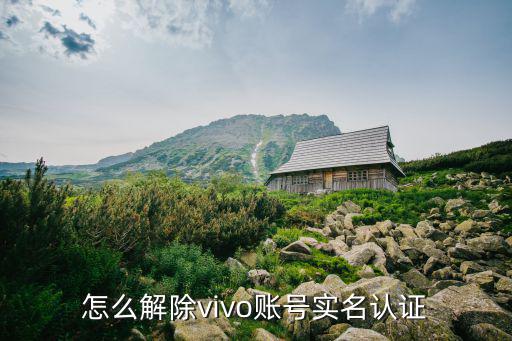 怎么解除vivo账号实名认证