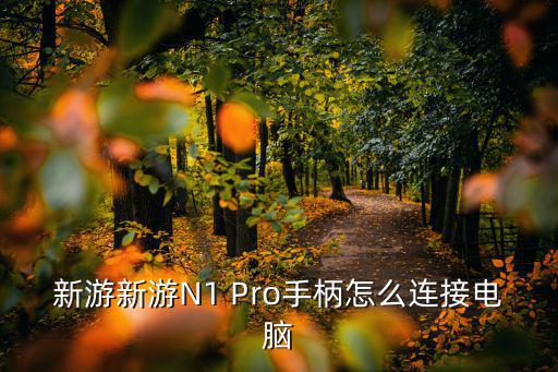 新游新游N1 Pro手柄怎么连接电脑