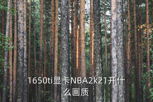 1650ti显卡NBA2k21开什么画质