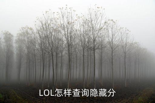 LOL怎样查询隐藏分