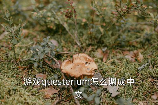 游戏questerium怎么调成中文