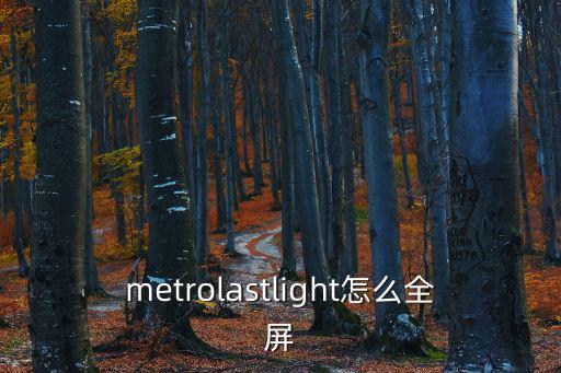 metrolastlight怎么全屏