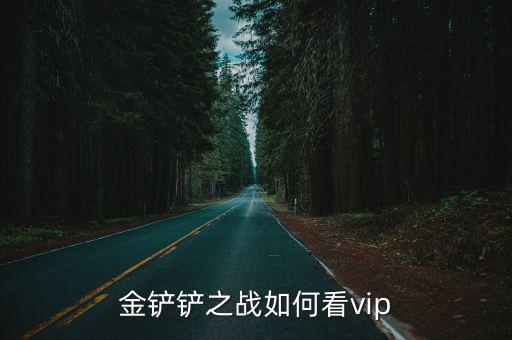 金铲铲之战如何看vip