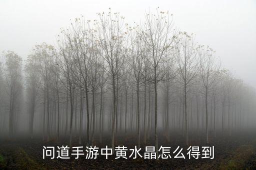 问道手游中黄水晶怎么得到