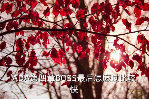 ADA第四章BOSS最后怎麽过比较快