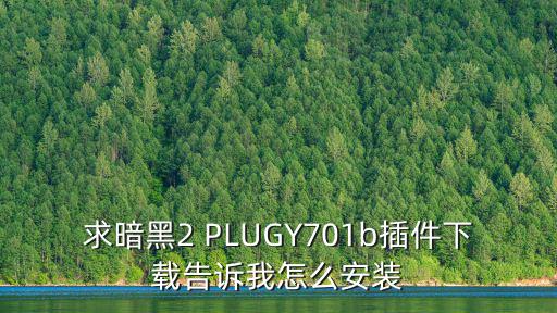 求暗黑2 PLUGY701b插件下载告诉我怎么安装