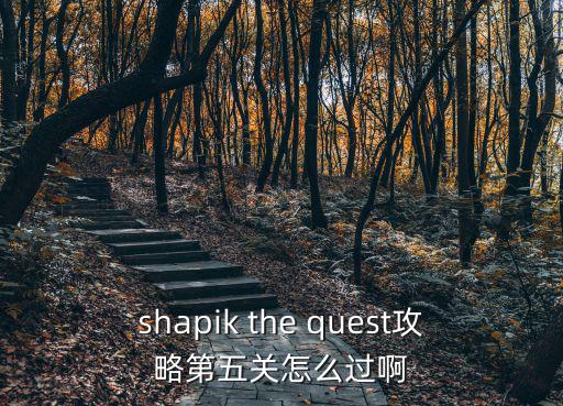 shapik the quest攻略第五关怎么过啊