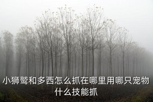 小狮鹫和多西怎么抓在哪里用哪只宠物什么技能抓