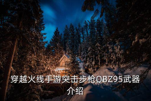 qbz95手游怎么样，战地之王里的QBZ95怎样